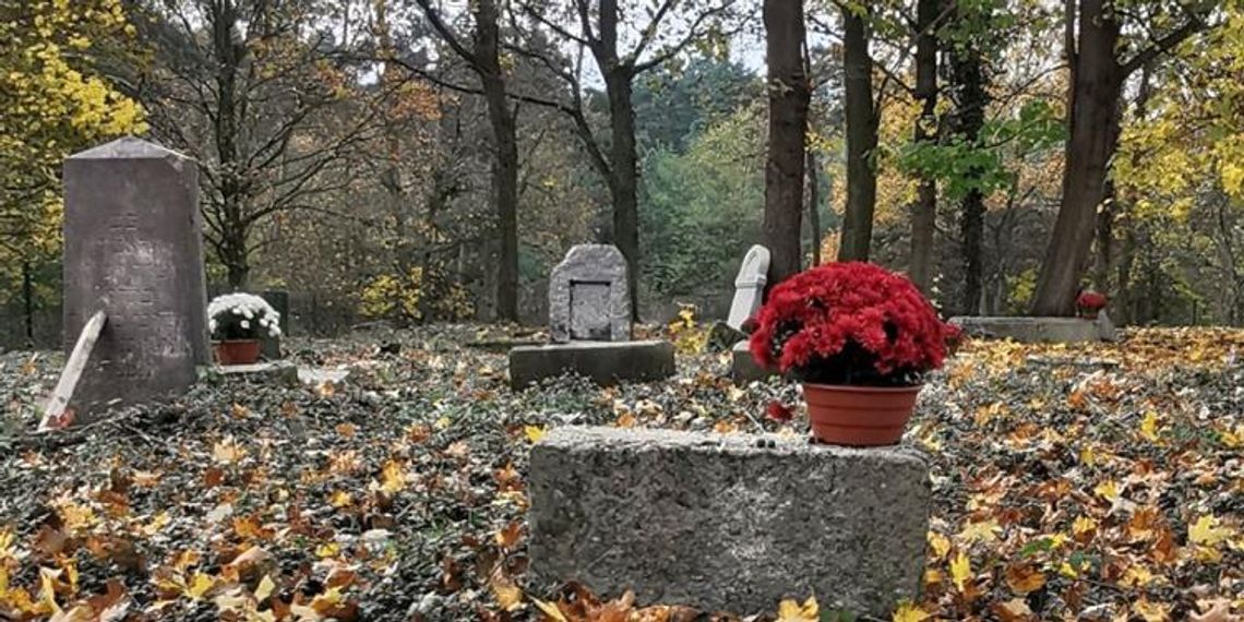 Jesienne porządki na cmentarzu żydowskim w Dębowej