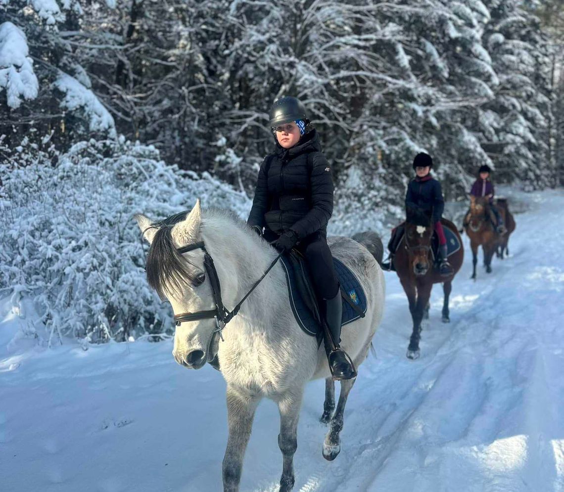Jeździeckie warsztaty zimowe w siodle 2026. Udział jest bezpłatny!