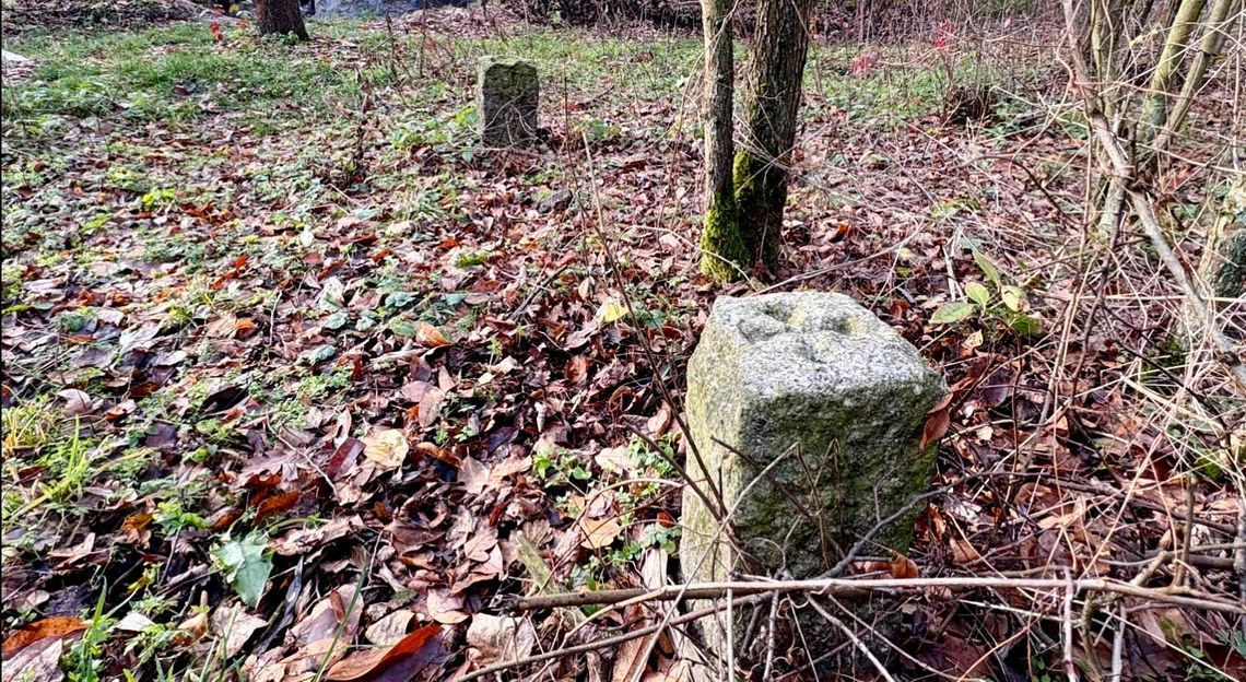 Historyczne kamienie w kędzierzyńskim lesie. Jest apel o ich zabezpieczenie. FILM