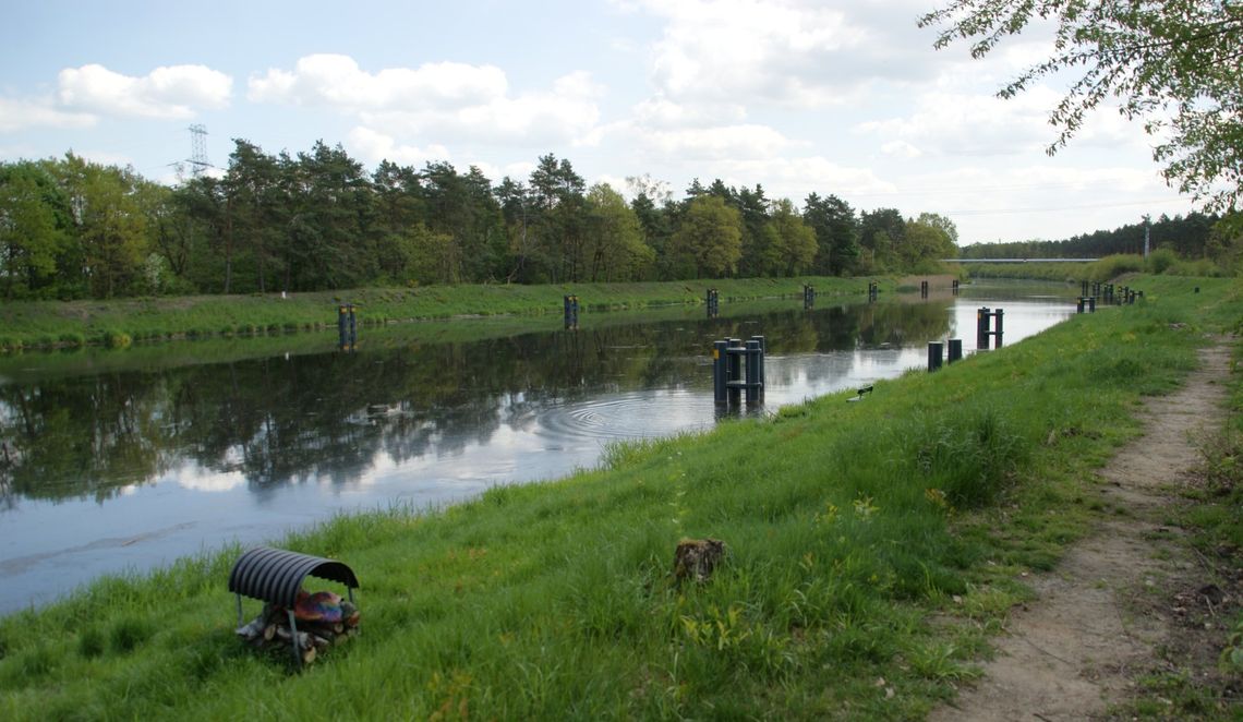 Kanał Gliwicki bezpieczny, ale pod obserwacją. Działania prewencyjne trwają
