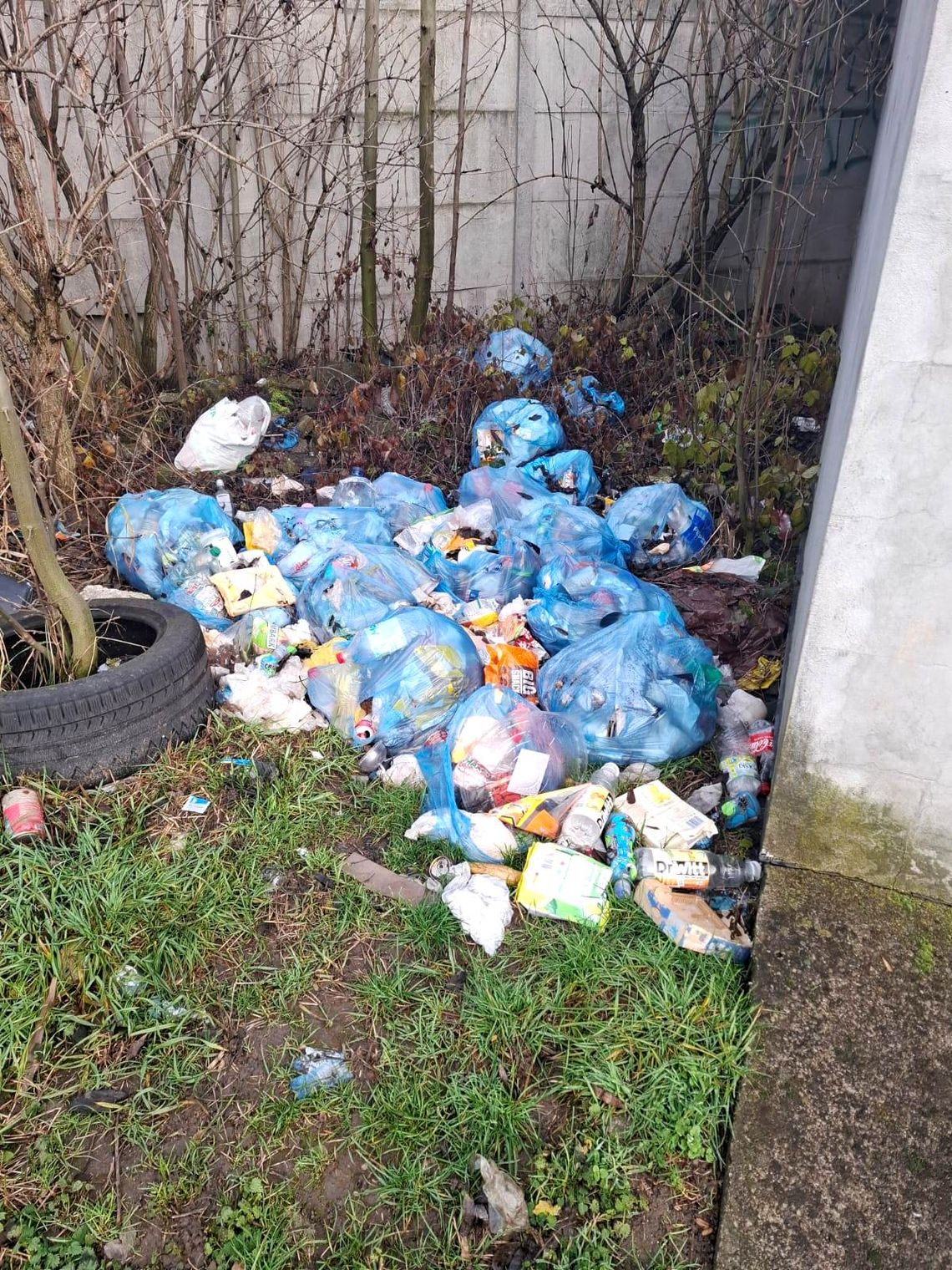 Karygodne zachowanie ludzi. Podrzucili worki z odpadami przy garażach na ul. Piastowskiej w Koźlu Karygodne zachowanie ludzi. Podrzucili worki z odpadami przy garażach na ul. Piastowskiej w Koźlu