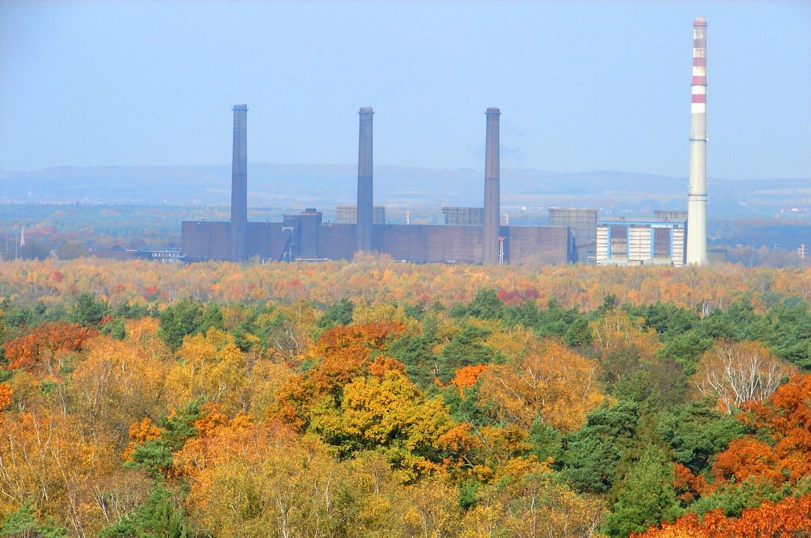 Każdy może wziąć udział w sadzeniu Lasu Pamięci Jana Pawła II Każdy może wziąć udział w sadzeniu Lasu Pamięci Jana Pawła II