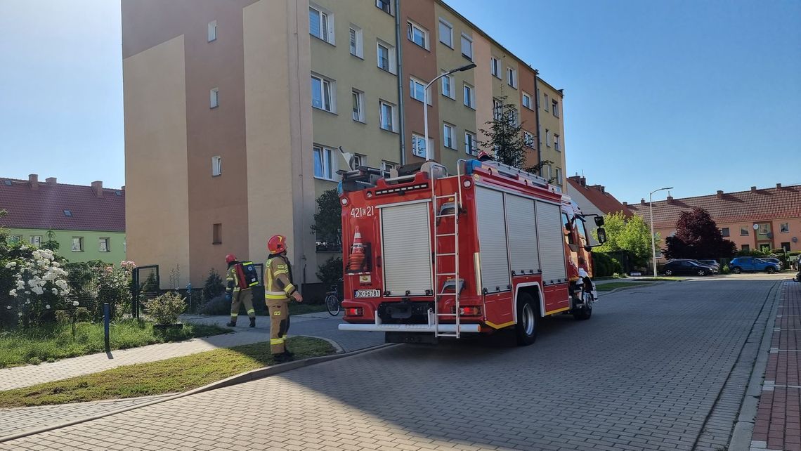 Kobieta wołała o pomoc. Zaniepokojeni sąsiedzi wezwali służby Kobieta wołała o pomoc. Zaniepokojeni sąsiedzi wezwali służby