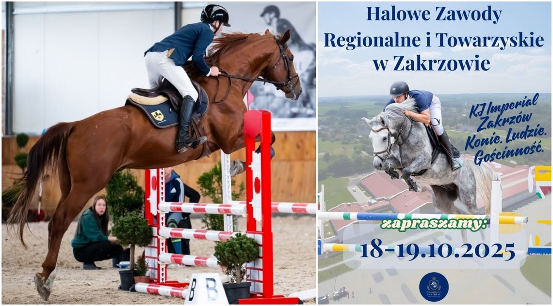 Kolejne jeździeckie emocje w Zakrzowie w ten weekend Kolejne jeździeckie emocje w Zakrzowie w ten weekend