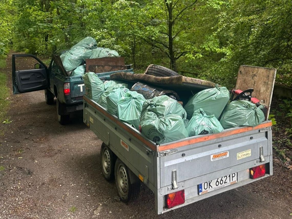 Kolejne leśne ostępy kędzierzyńskich lasów uprzątnięte. Aż 194 worki śmieci