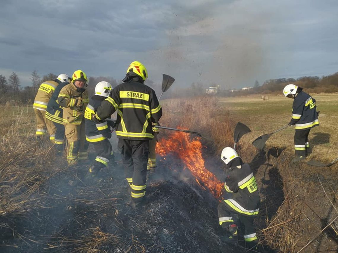 Kolejne podpalenia suchej trawy w gminie Polska Cerekiew