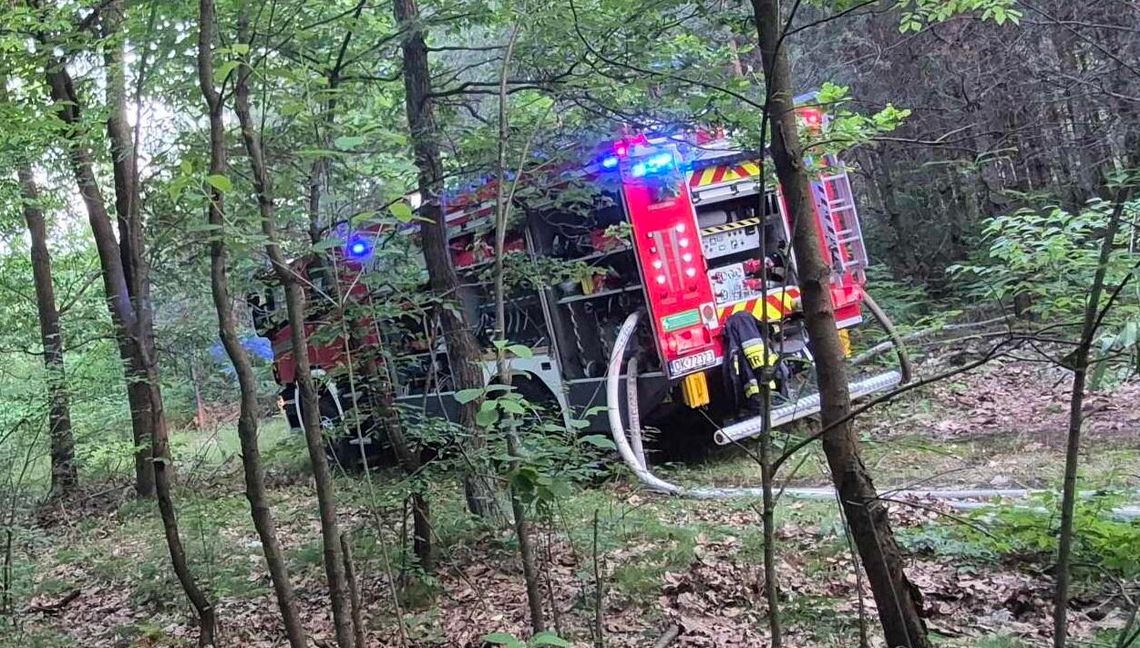 Kolejne pożary lasu w Kędzierzynie-Koźlu. Prawdopodobnie to sprawka podpalacza