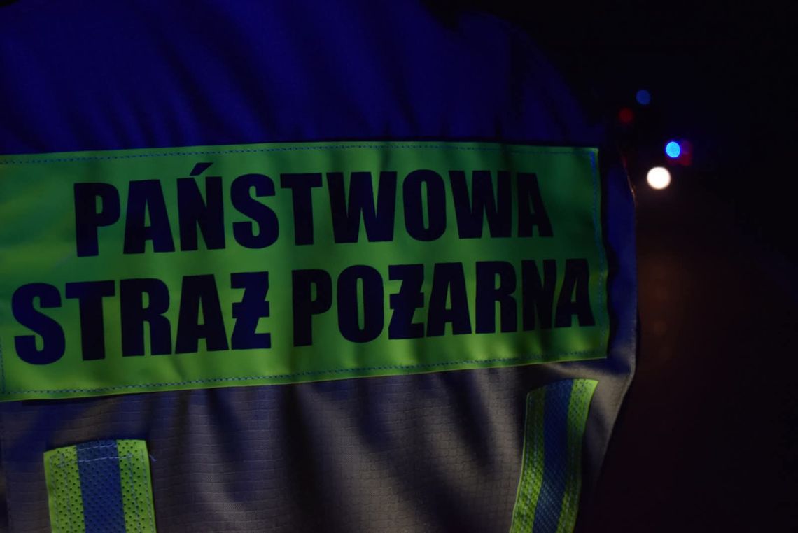 Kolejny pożar lasu w Kłodnicy. Niewykluczone, że doszło do podpalenia