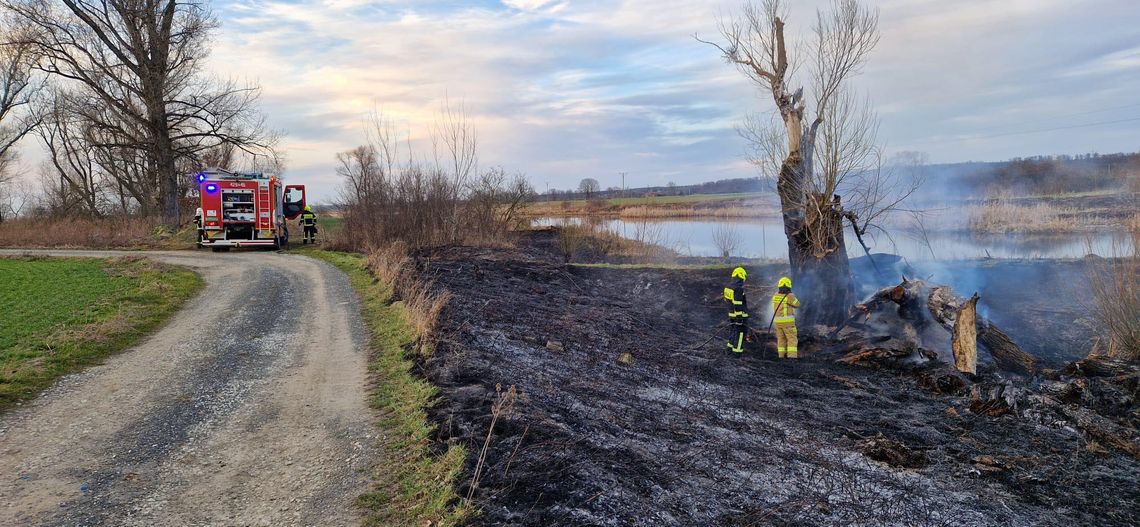 Kolejny pożar nieużytków. Tym razem w Dziergowicach Kolejny pożar nieużytków. Tym razem w Dziergowicach