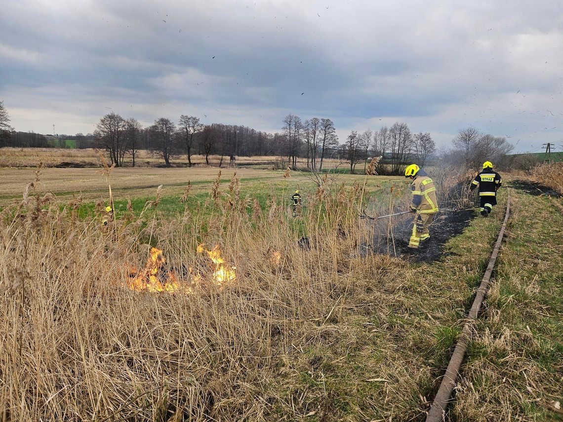 Kolejny pożar trawy w gminie Polska Cerekiew