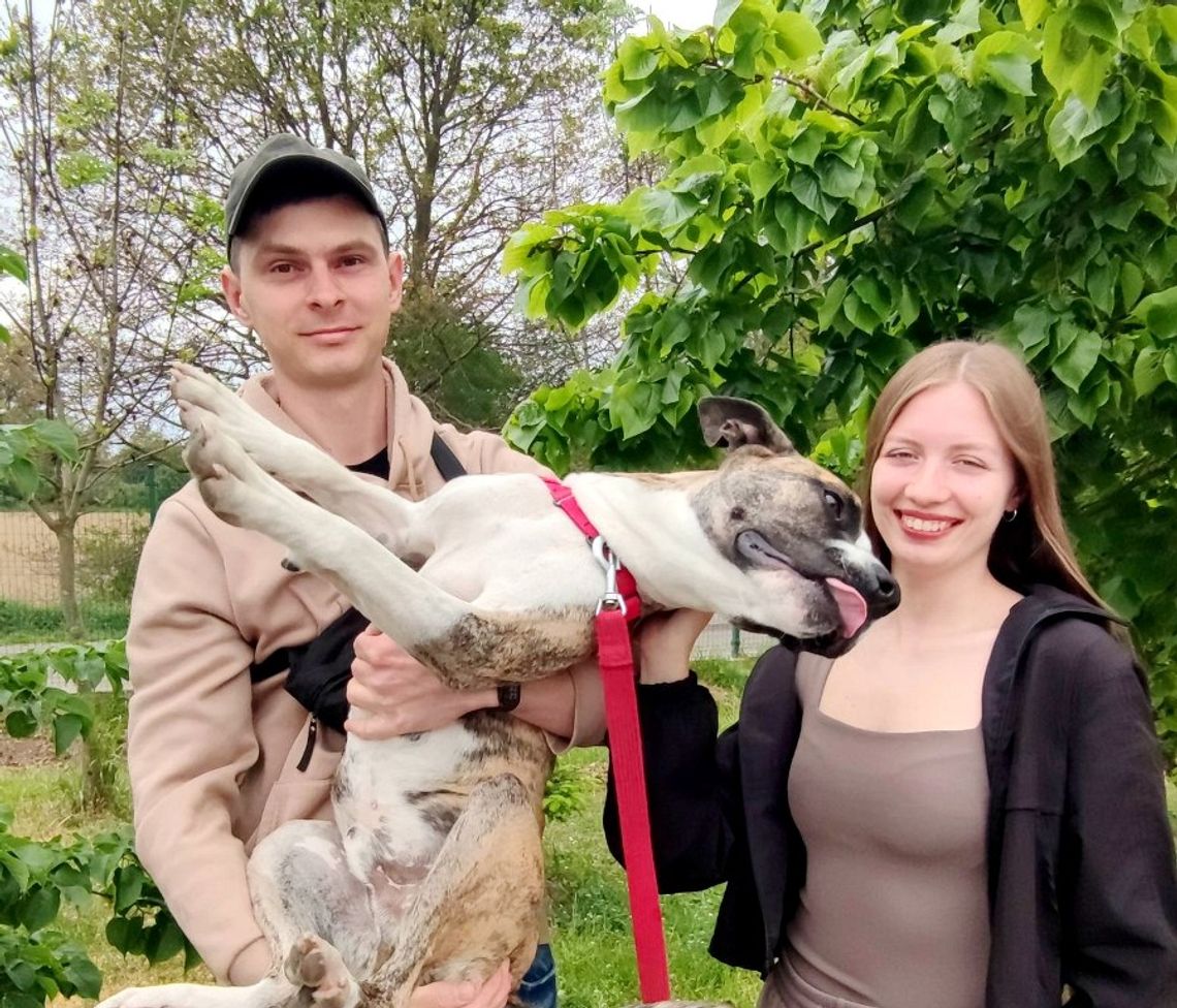 Kolejny psiak ze schroniska znalazł nowych właścicieli. ZDJĘCIA