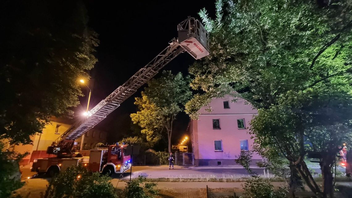Kot w opałach. Strażacy interweniowali na Pogorzelcu Kot w opałach. Strażacy interweniowali na Pogorzelcu