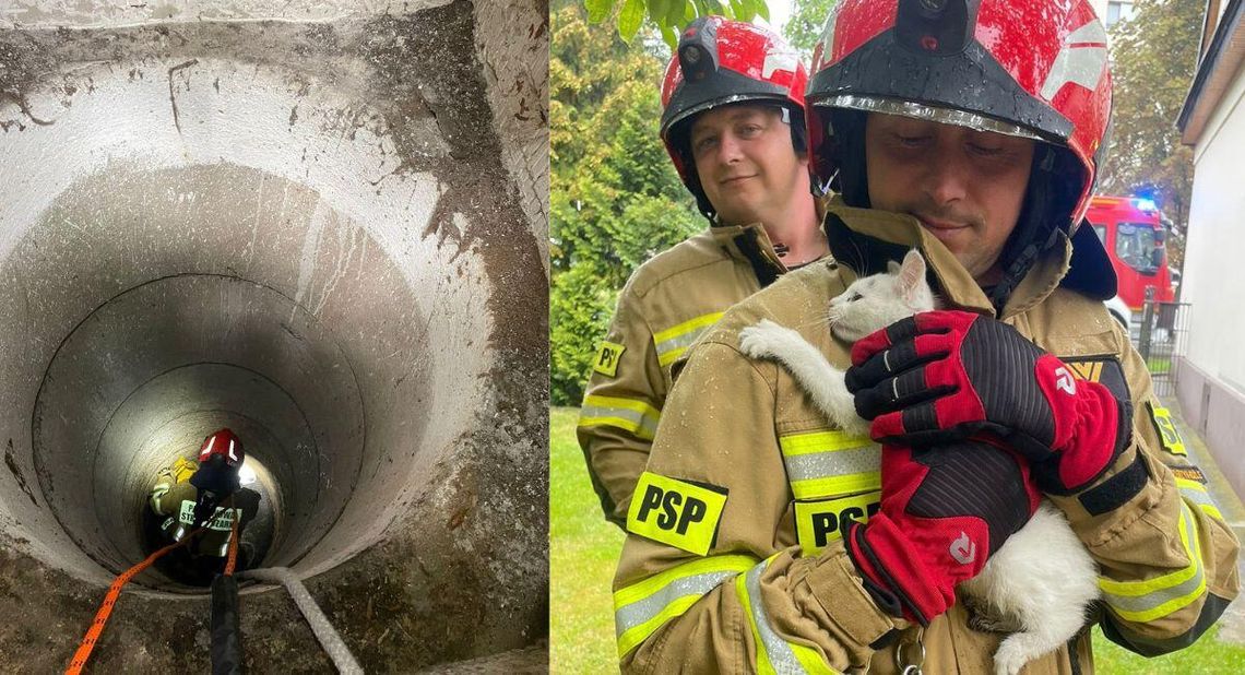 Kot wpadł do studni. Strażacy ruszyli na pomoc. ZDJĘCIA