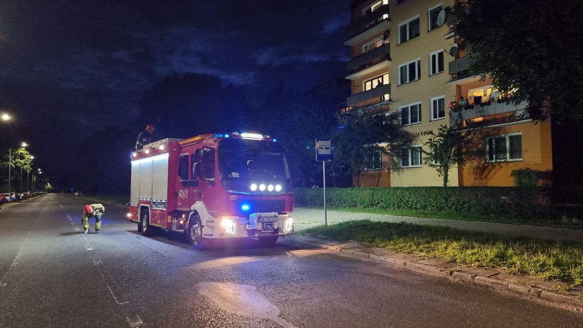 Kot zatrzasnął kobietę na balkonie. Interweniowali strażacy Kot zatrzasnął kobietę na balkonie. Interweniowali strażacy