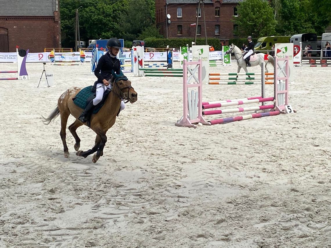 Kozielska stadnina koni gościła widowiskową imprezę. ZDJĘCIA