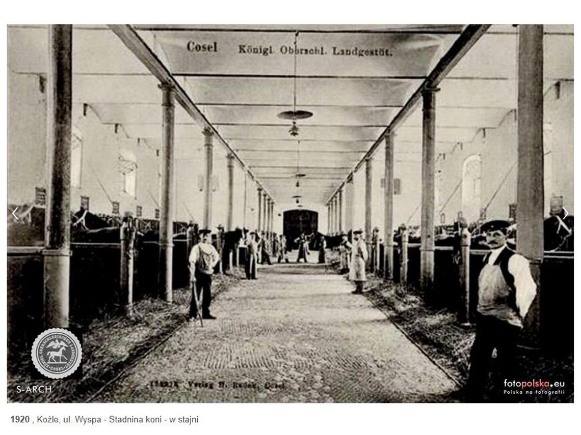 Kozielska stadnina koni obchodzi swoje 150-lecie! Historia uchwycona na kliszy fotograficznej. ZDJĘCIA