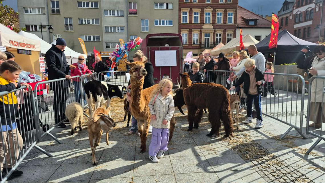 Kozielski rynek przeżył prawdziwe oblężenie! Jarmark przyciągnął tłumy mieszkańców. ZDJĘCIA