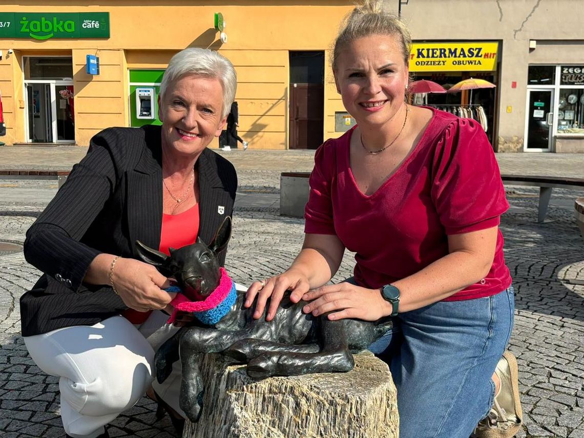 Koziołki w różowych i niebieskich szalikach przypominają o badaniach. ZDJĘCIA Koziołki w różowych i niebieskich szalikach przypominają o badaniach. ZDJĘCIA