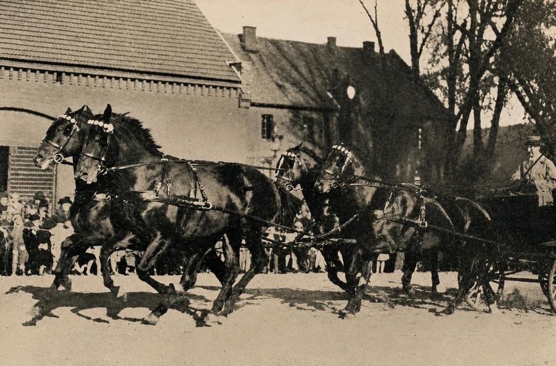 Koźle kolebką konia śląskiego Koźle kolebką konia śląskiego