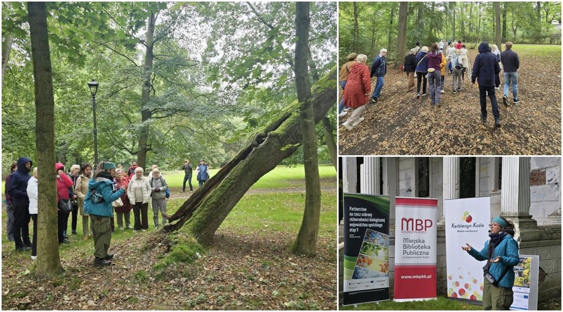 Książęca historia zapisana w korzeniach drzew. ZDJĘCIA