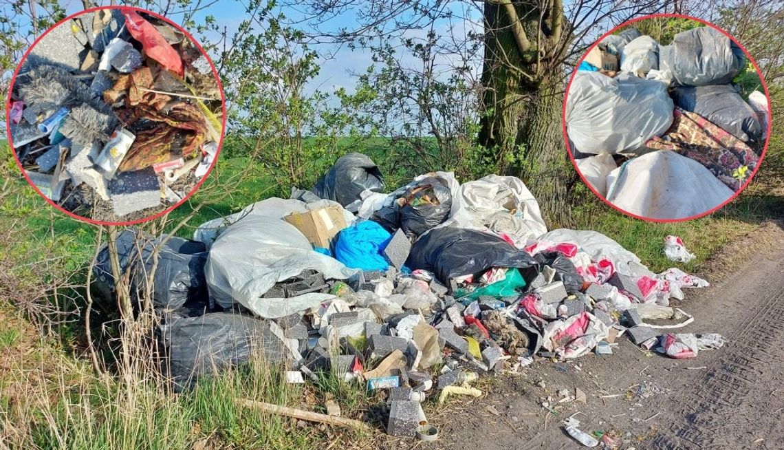 Ktoś „ozdobił” okolicę stosem odpadów. Sprawa trafiła na policję. ZDJĘCIA Ktoś „ozdobił” okolicę stosem odpadów. Sprawa trafiła na policję. ZDJĘCIA