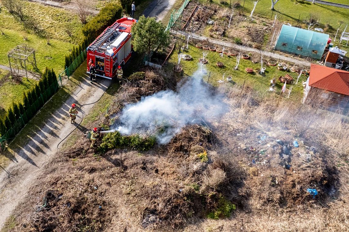 Ktoś podpalił stertę pozostałości roślinnej na ogródkach działkowych
