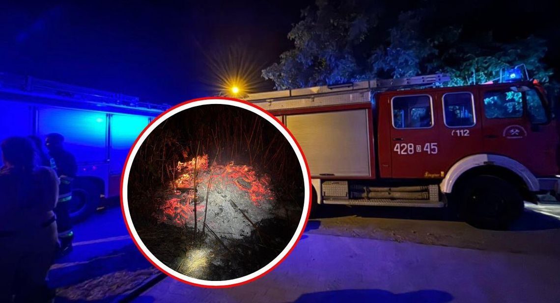 Ktoś rozpalił ognisko za marketem. Interweniowały trzy zastępy straży pożarnej