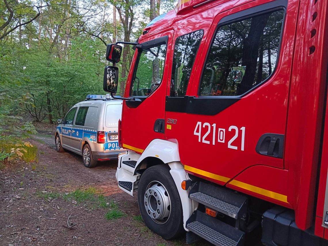 Ktoś zostawił w lesie ognisko bez nadzoru. Interweniowali strażacy