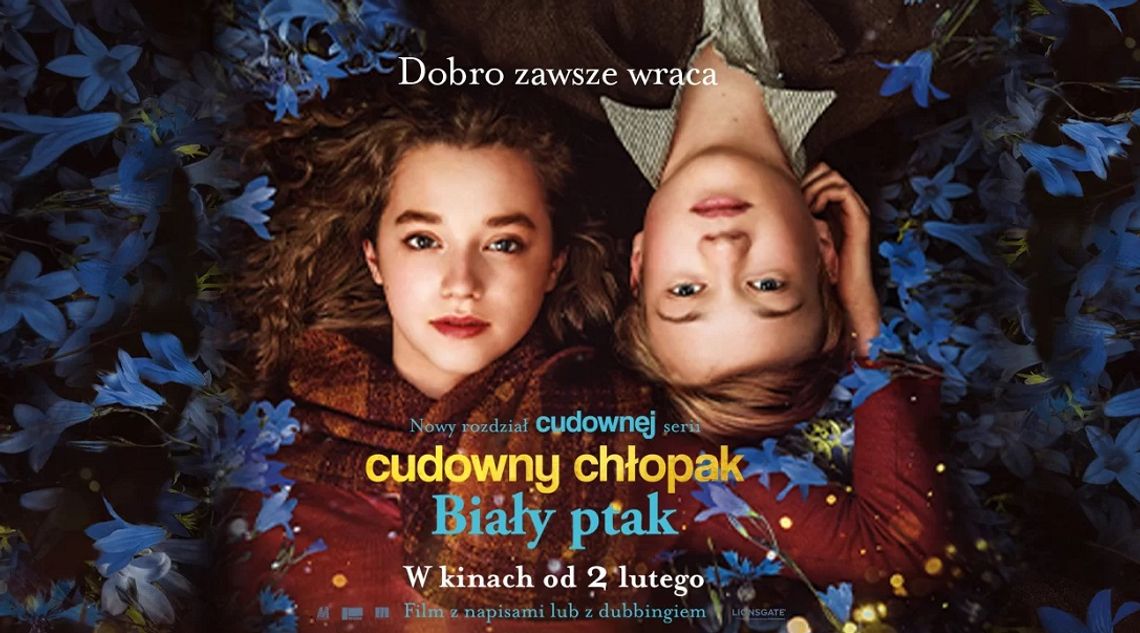 Letnie kino plenerowe. Seans filmu "Cudowny chłopak. Biały ptak"