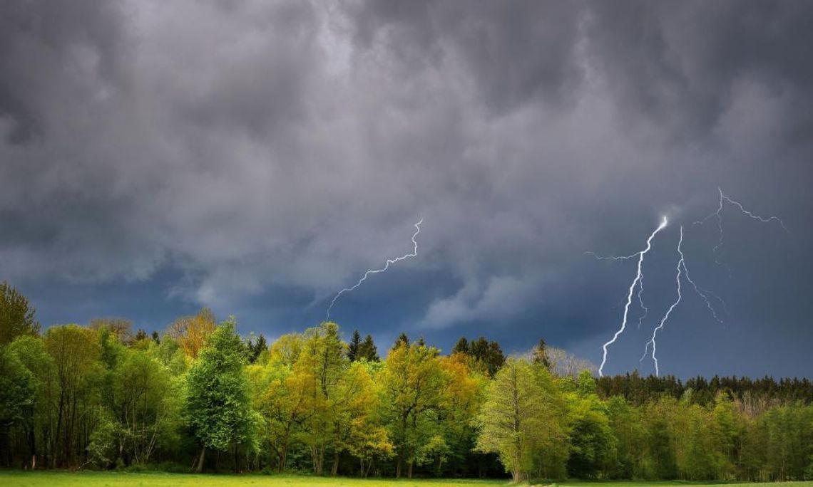Meteorolodzy ostrzegają przed burzami i silnym wiatrem