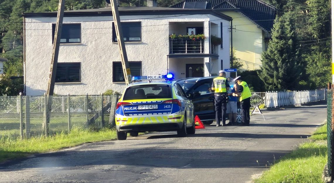 Mężczyzna wjechał w słup energetyczny. Za nieostrożną jazdę otrzymał mandat