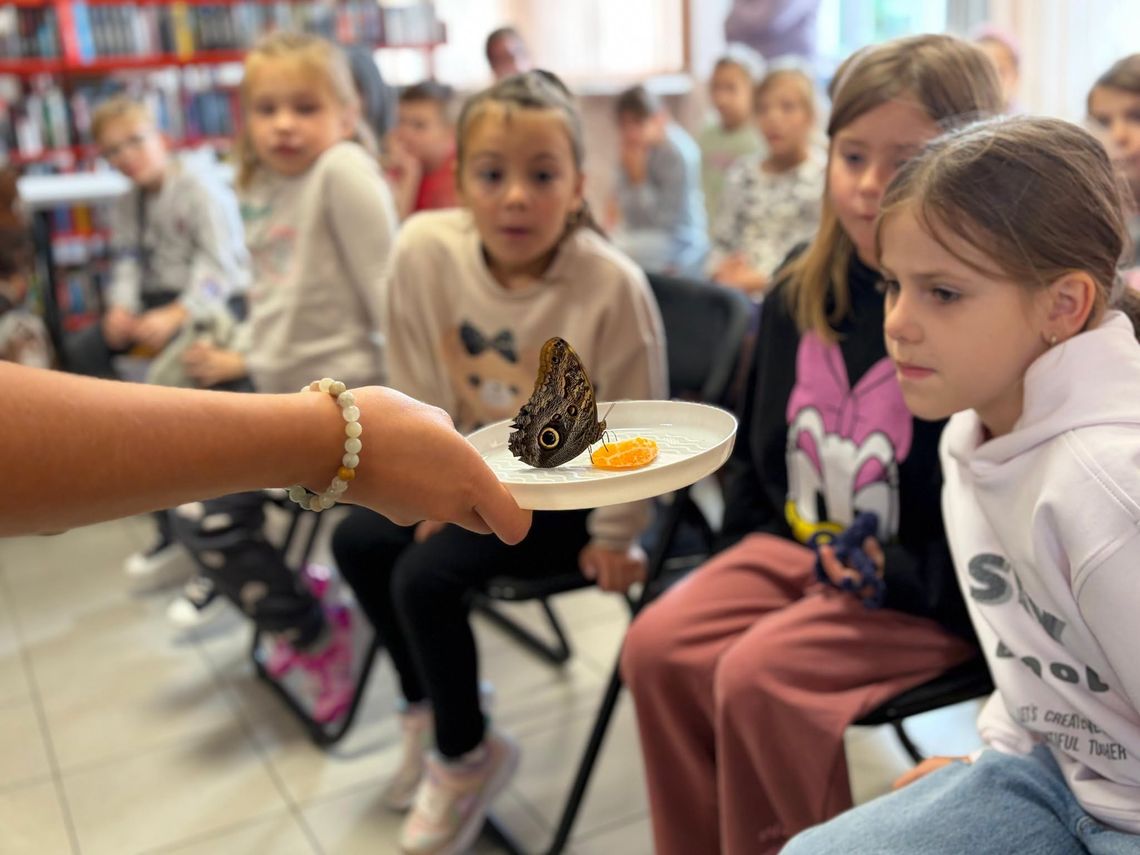 Miejska Biblioteka Publiczna w Kędzierzynie-Koźlu dostała skrzydeł. Dosłownie i w przenośni. ZDJĘCIA Miejska Biblioteka Publiczna w Kędzierzynie-Koźlu dostała skrzydeł. Dosłownie i w przenośni. ZDJĘCIA