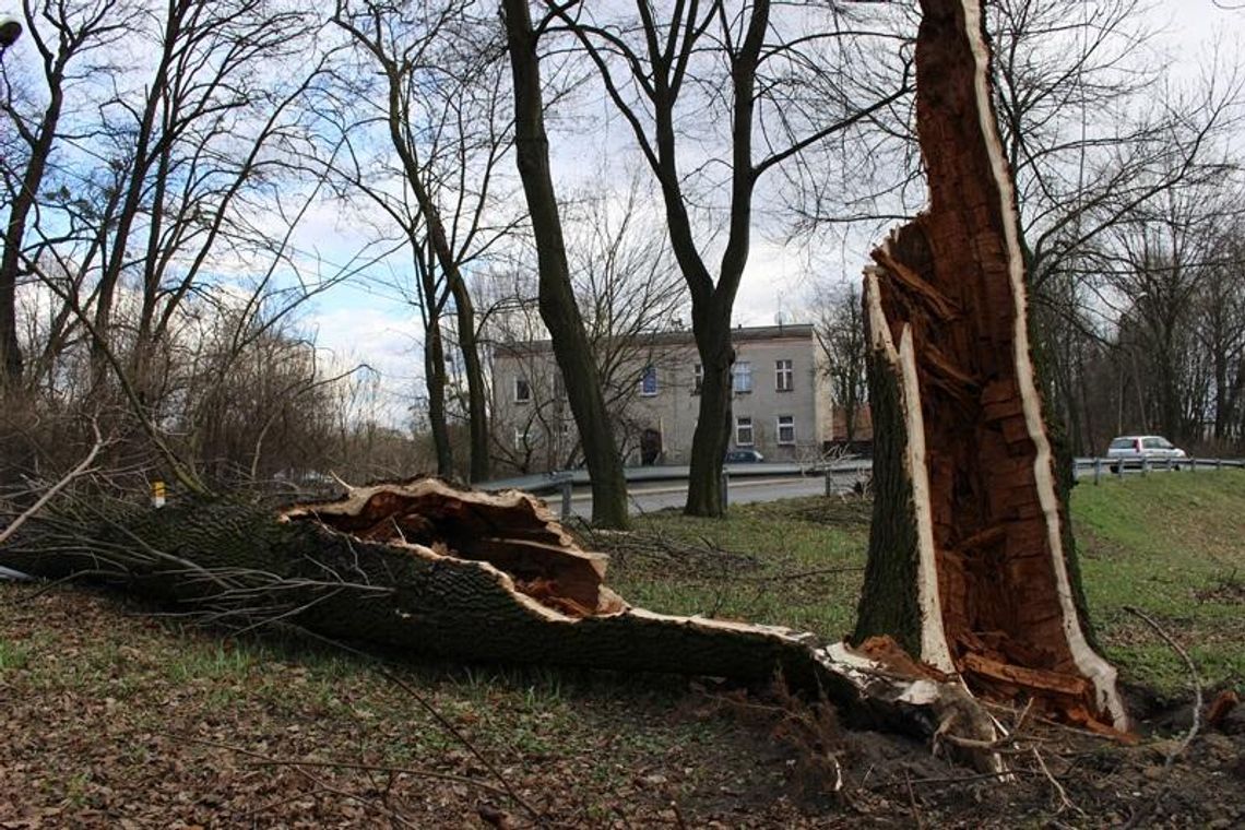 Mieszkańcy! Omijajcie parki!