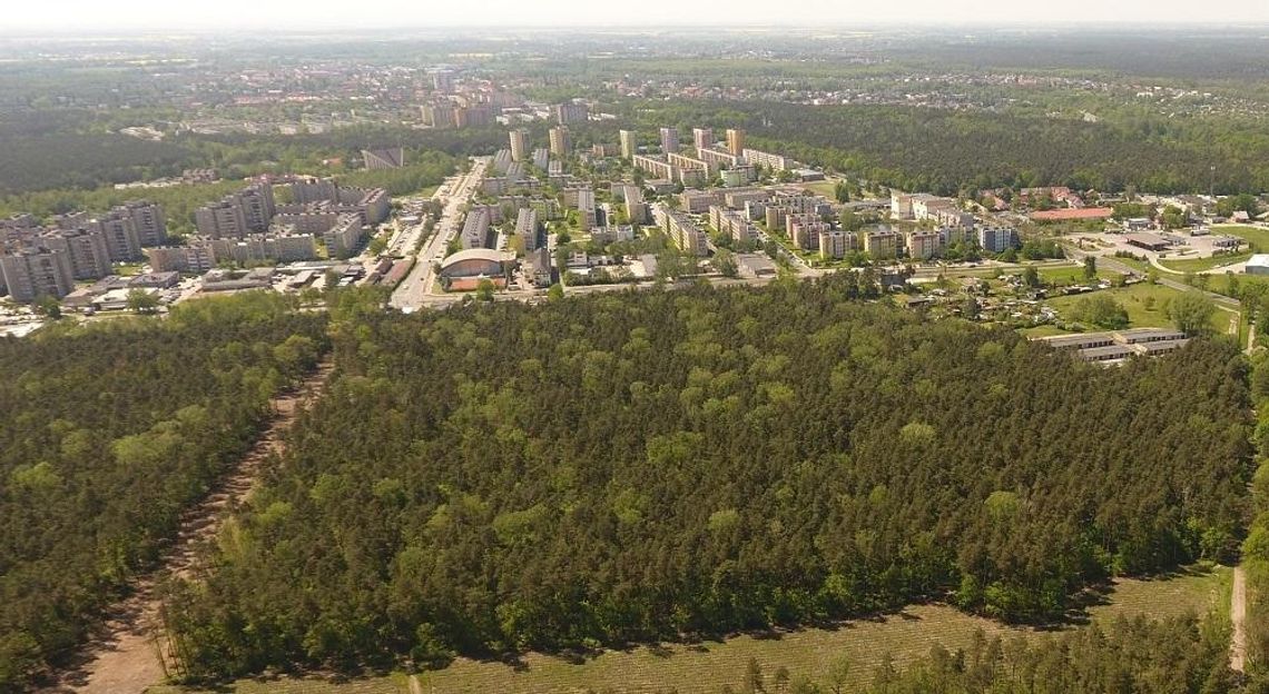 Ministerstwo o planowanych wycinkach lasu w Kędzierzynie-Koźlu