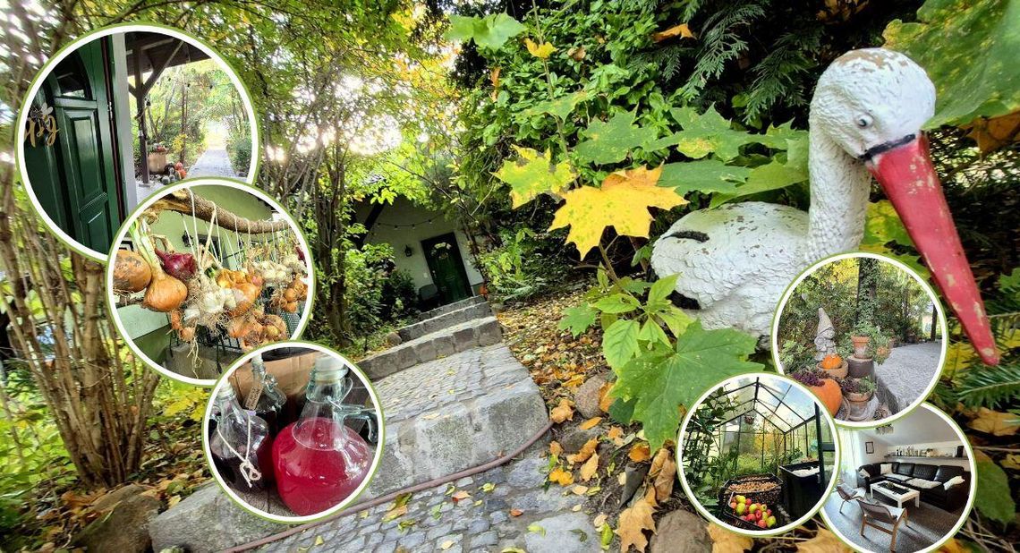 Miodowy Zakątek – sielska oaza w sercu natury. Wyjątkowe miejsce niedaleko Kędzierzyna-Koźla