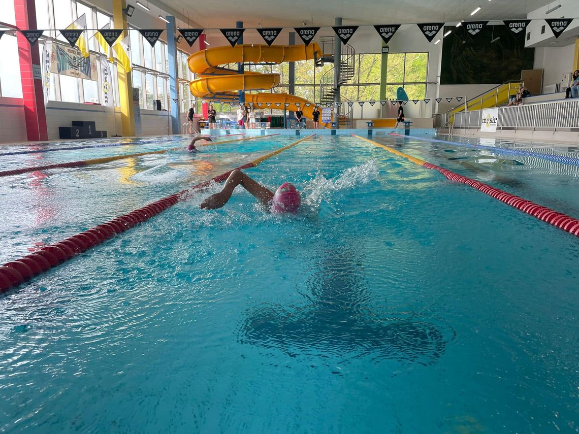 Mistrzostwa miasta w pływaniu na dystansie 50 metrów
