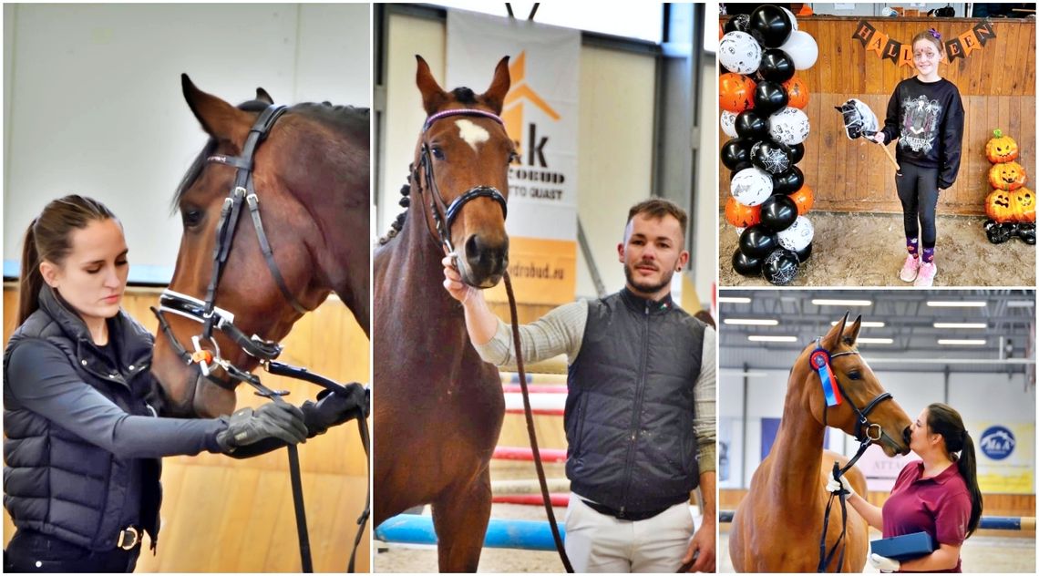 Kolejny emocjonujący weekend w GOSiR w Zakrzowie. ZDJĘCIA