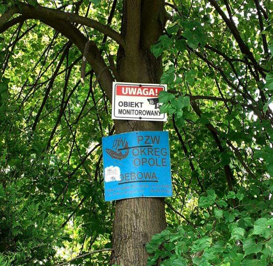 Monitoring akwenu Dębowa uruchomiony