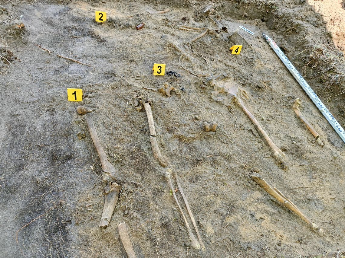 Mroczna tajemnica, którą skrywa sławięcicki las. FILM Mroczna tajemnica, którą skrywa sławięcicki las. FILM