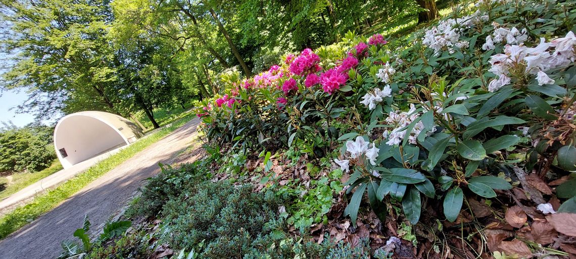 Na Plantach w Koźlu powstanie monitoring i nowe oświetlenie. Miasto zapowiada inwestycję Na Plantach w Koźlu powstanie monitoring i nowe oświetlenie. Miasto zapowiada inwestycję