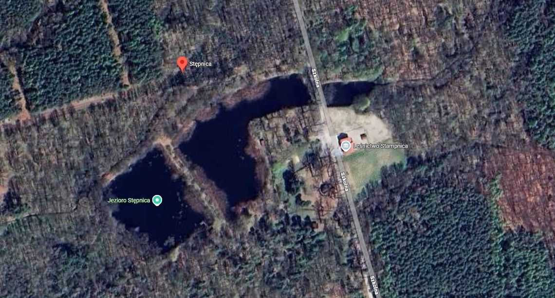 Nadleśnictwo Kędzierzyn zmodernizuje zbiorniki wodne w obrębie Stampnicy