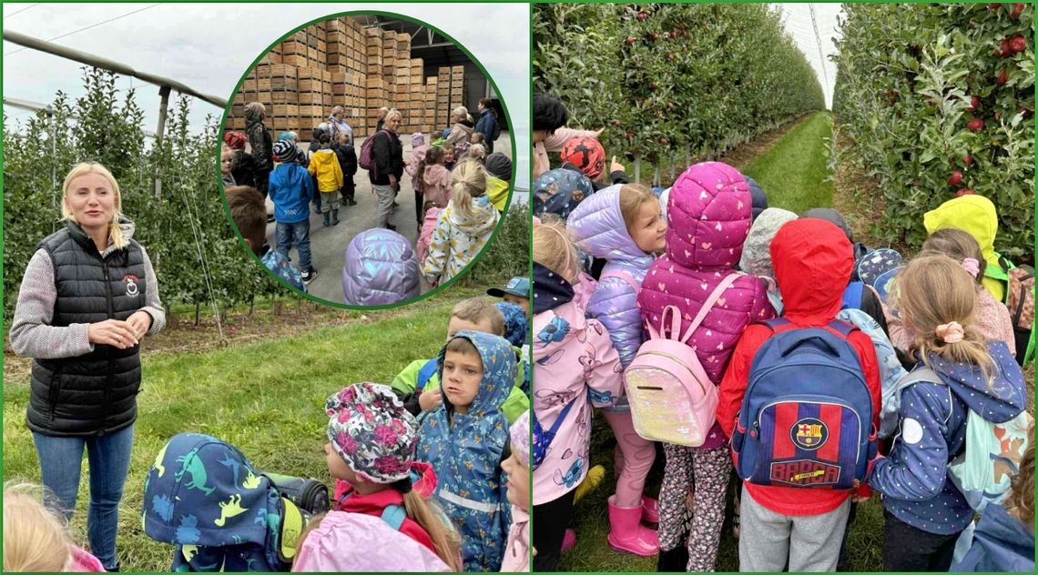 Nauka i zabawa w jednym. Przedszkolaki zwiedzały sad. ZDJĘCIA
