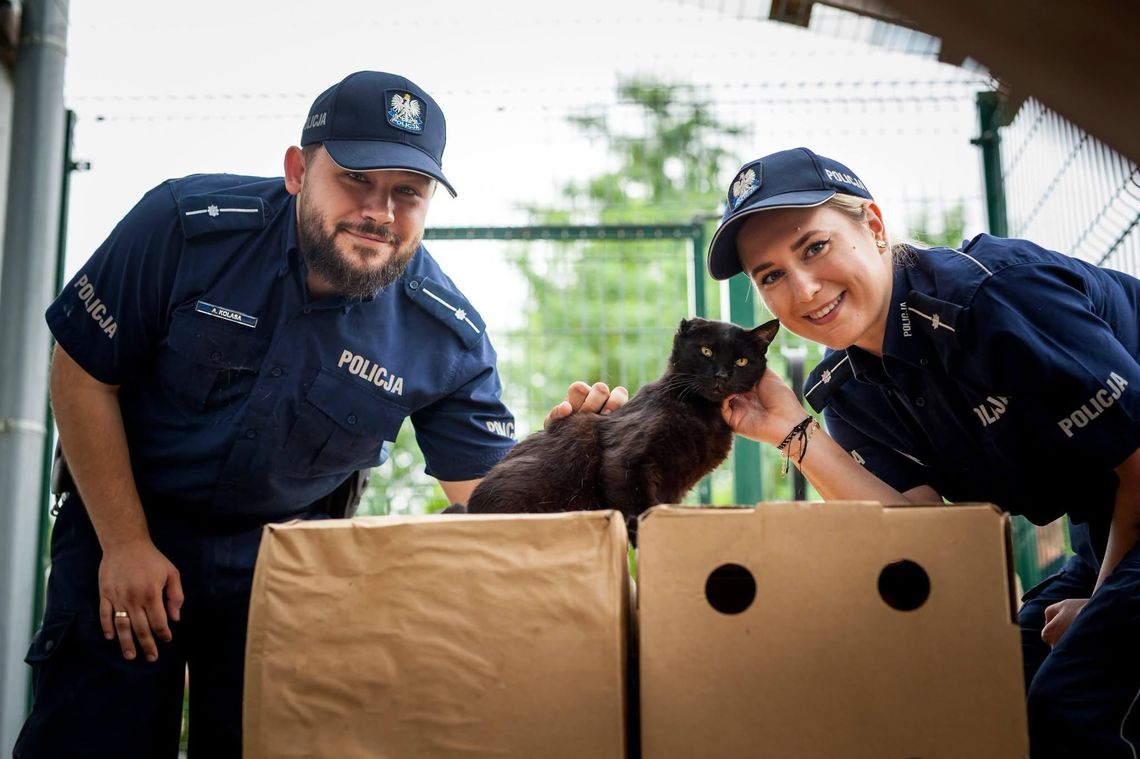 Nie kupuj. Pokochaj, adoptuj - zachęcają policjanci. ZDJĘCIA Nie kupuj. Pokochaj, adoptuj - zachęcają policjanci. ZDJĘCIA