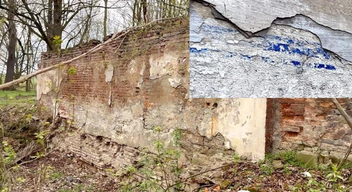 „Niebiański” kolor zachował się na starym murze w okolicach dawnego pałacu Flemminga. VIDEO