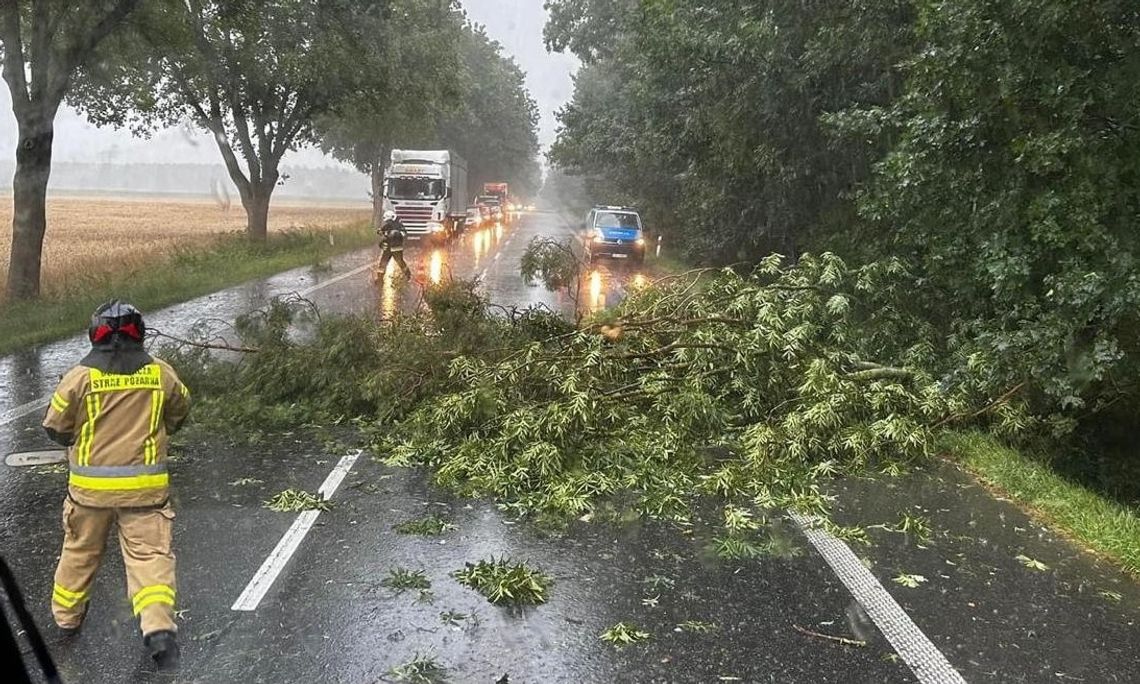 Niespokojna noc za nami. Strażacy mieli sporo pracy po przejściu frontu burzowego