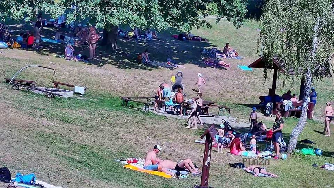 Obrazki z Dębowej. Słońce grzało, alkohol buzował w głowach. ZDJĘCIA Obrazki z Dębowej. Słońce grzało, alkohol buzował w głowach. ZDJĘCIA