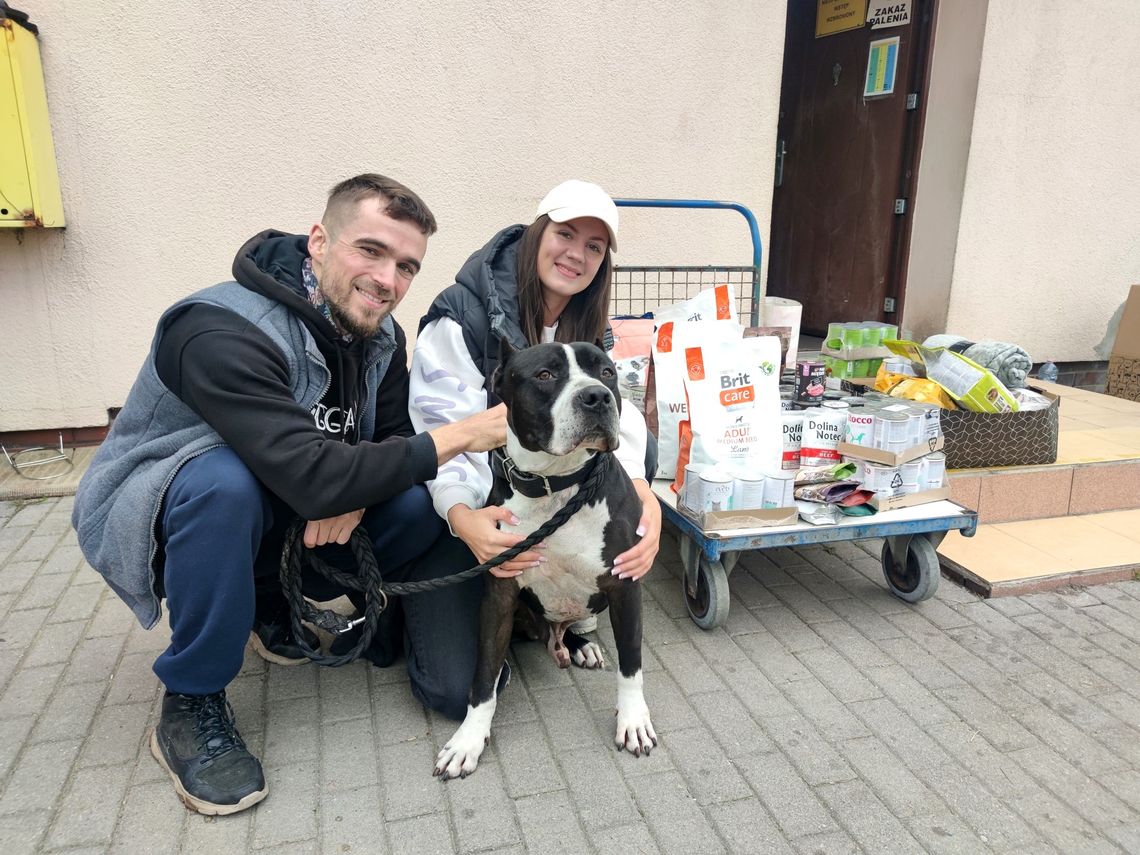 Oby „karma” do nich wróciła