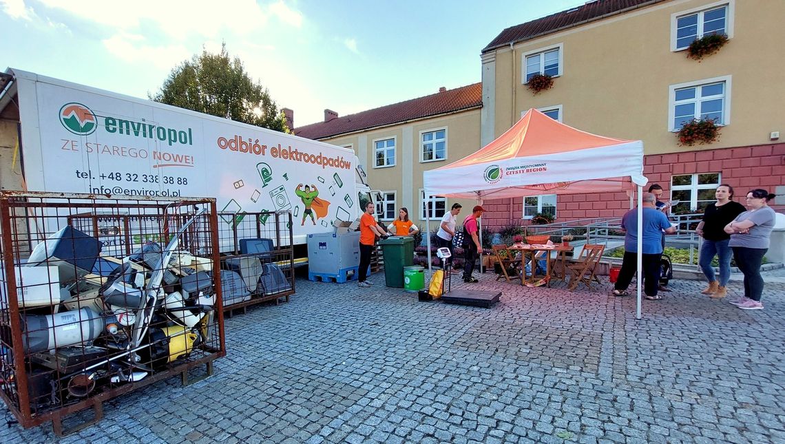 Oddaj elektroodpady – odbierz sadzonki! Jesienna edycja akcji w powiecie kędzierzyńsko-kozielskim