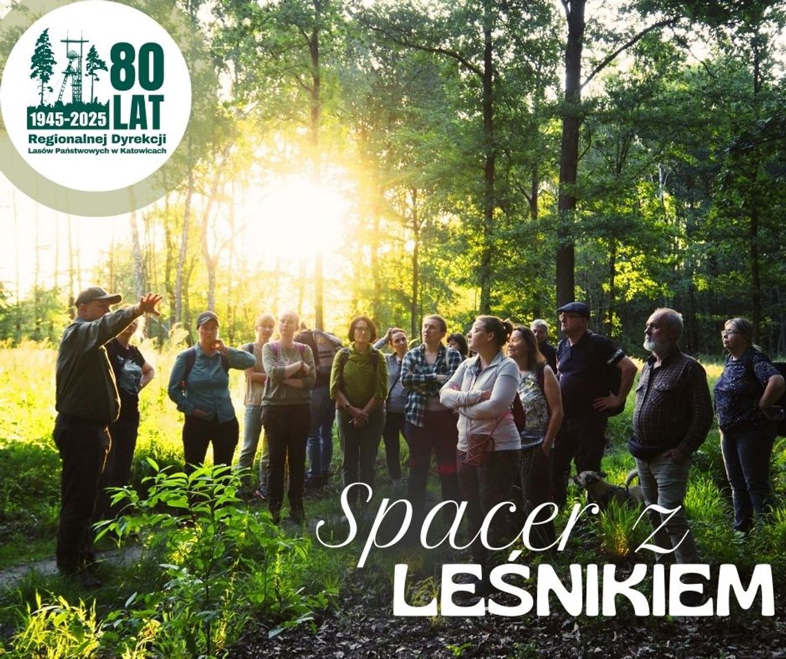 Odkryj leśne tajemnice Kędzierzyna-Koźla podczas spaceru z leśnikiem