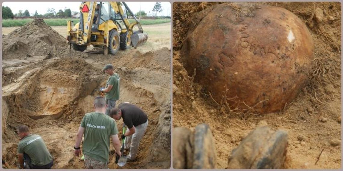 Odkryto szczątki 15 czerwonoarmistów, a może być ich więcej. Kolejna ekshumacja w Długomiłowicach 